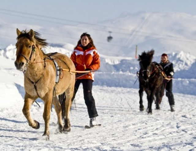  Esquí de nieve y caballos 